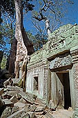 Ta Prohm temple - silk-cotton trees rising over the ruins